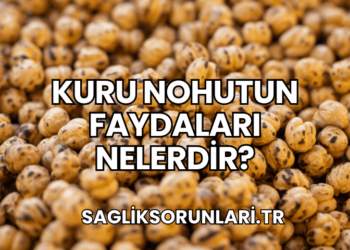 Kuru Nohutun Faydaları Nelerdir?