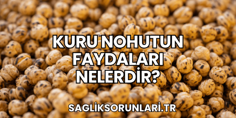 Kuru Nohutun Faydaları Nelerdir?