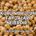 Kuru Nohutun Faydaları Nelerdir?