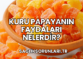 Kuru Papayanın Faydaları Nelerdir?