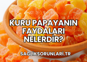Kuru Papayanın Faydaları Nelerdir?
