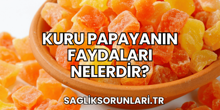 Kuru Papayanın Faydaları Nelerdir?