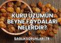 Kuru Üzümün Beyne Faydaları Nelerdir?