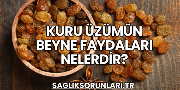Kuru Üzümün Beyne Faydaları Nelerdir?