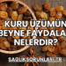 Kuru Üzümün Beyne Faydaları Nelerdir?