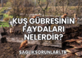 Kuş Gübresinin Faydaları Nelerdir?