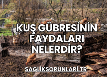 Kuş Gübresinin Faydaları Nelerdir?