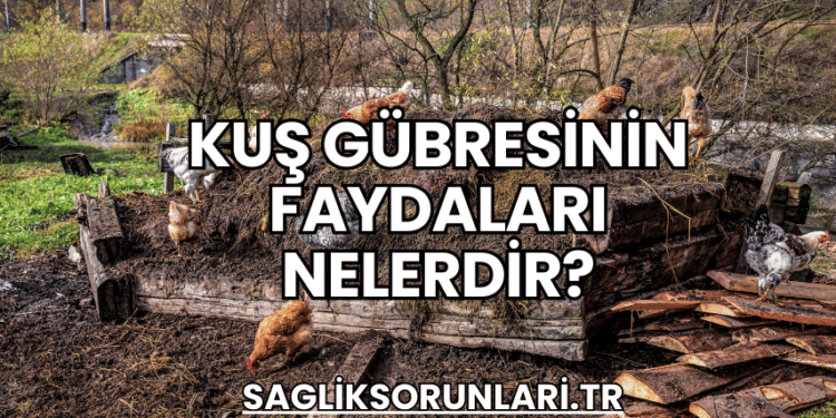 Kuş Gübresinin Faydaları Nelerdir?