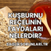 Kuşburnu Reçelinin Faydaları Nelerdir?