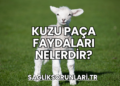 Kuzu Paça Faydaları Nelerdir?