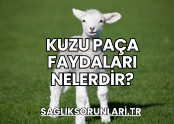 Kuzu Paça Faydaları Nelerdir?