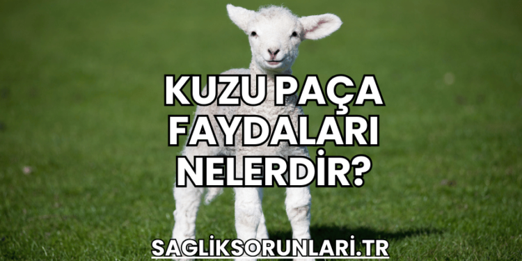 Kuzu Paça Faydaları Nelerdir?