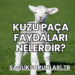 Kuzu Paça Faydaları Nelerdir?