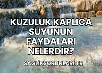 Kuzuluk Kaplıca Suyunun Faydaları Nelerdir?
