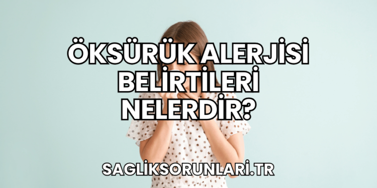 Öksürük Alerjisi Belirtileri Nelerdir?