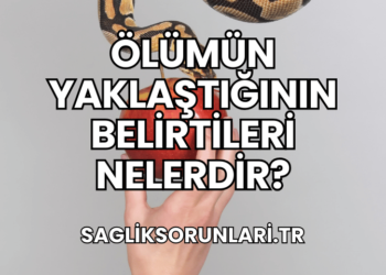 Ölümün Yaklaştığının Belirtileri Nelerdir?