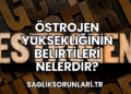 Östrojen Yüksekliğinin Belirtileri Nelerdir?