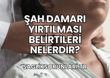 Şah Damarı Yırtılması Belirtileri Nelerdir?