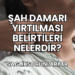 Şah Damarı Yırtılması Belirtileri Nelerdir?