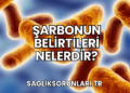 Şarbonun Belirtileri Nelerdir?