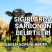 Sığırlarda Şarbonun Belirtileri