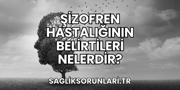 Şizofren Hastalığının Belirtileri Nelerdir?