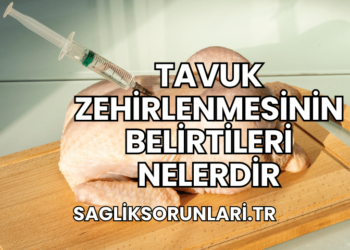 Tavuk Zehirlenmesinin Belirtileri Nelerdir