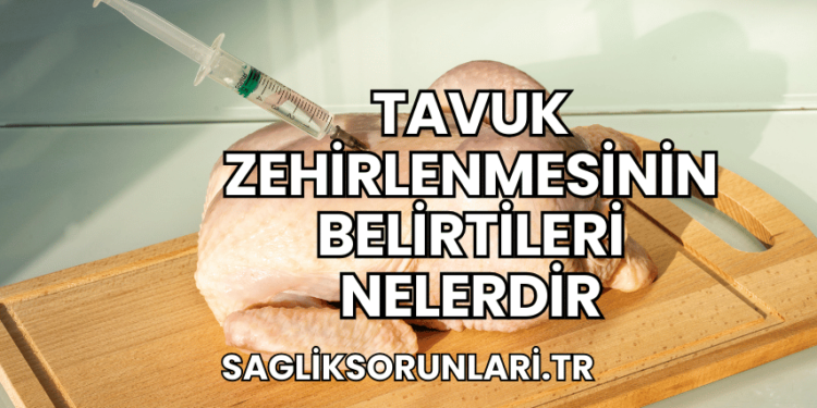 Tavuk Zehirlenmesinin Belirtileri Nelerdir
