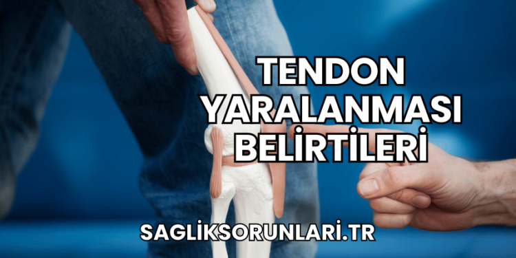 Tendon Yaralanması Belirtileri