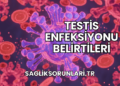 Testis Enfeksiyonu Belirtileri