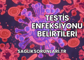 Testis Enfeksiyonu Belirtileri