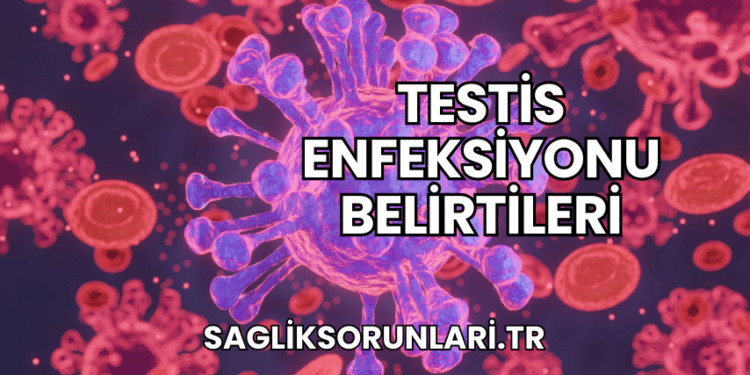 Testis Enfeksiyonu Belirtileri
