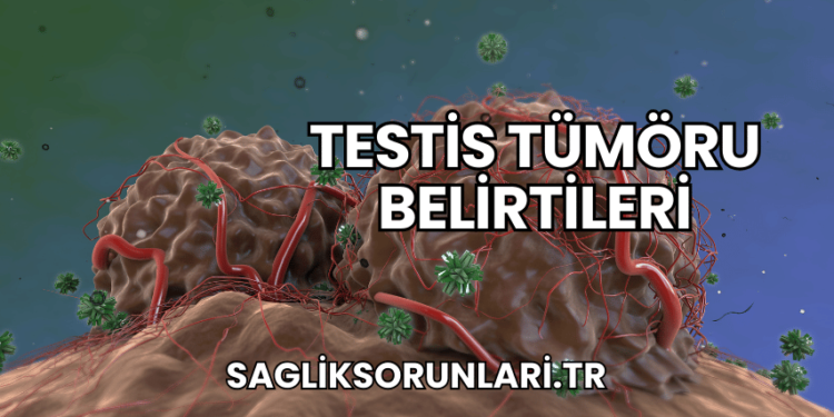 Testis Tümöru Belirtileri