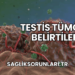 Testis Tümöru Belirtileri