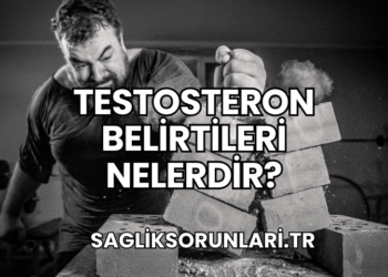 Testosteron Belirtileri Nelerdir?