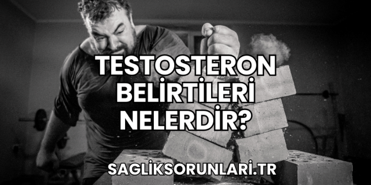 Testosteron Belirtileri Nelerdir?