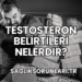 Testosteron Belirtileri Nelerdir?