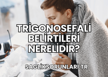 Trigonosefali Belirtileri Nerelidir?