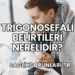 Trigonosefali Belirtileri Nerelidir?