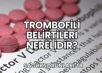 Trombofili Belirtileri Nerelidir?