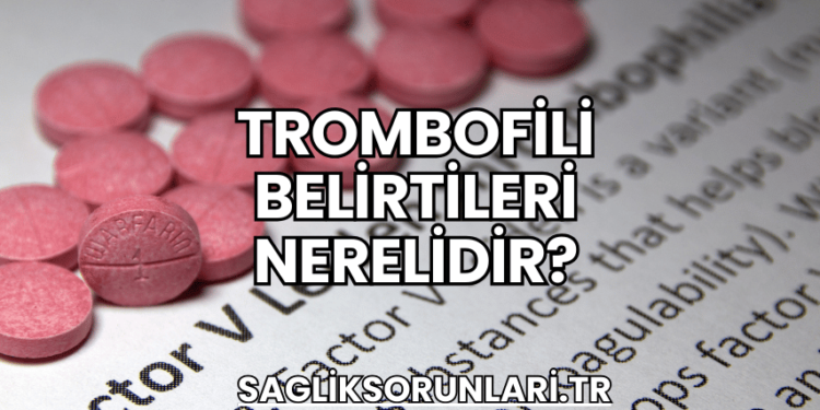 Trombofili Belirtileri Nerelidir?