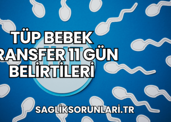 Tüp Bebek Transfer 11 Gün Belirtileri