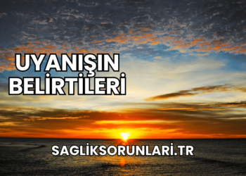 Uyanışın Belirtileri