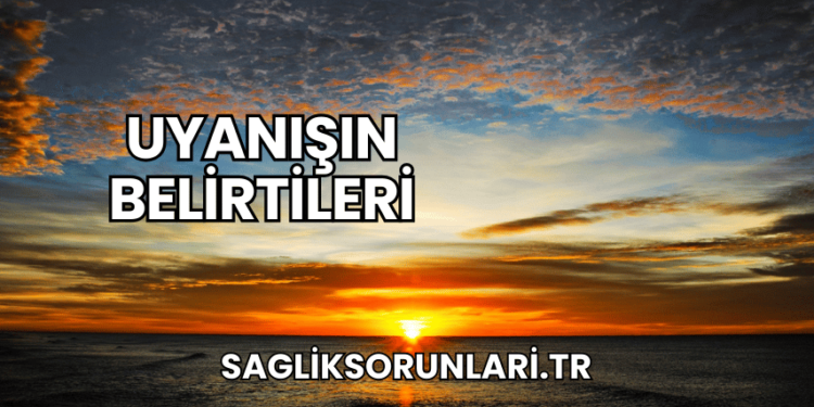 Uyanışın Belirtileri