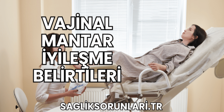Vajinal Mantar İyileşme Belirtileri