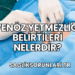 Venöz Yetmezliği Belirtileri Nelerdir?