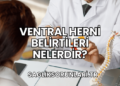 Ventral Herni Belirtileri Nelerdir?