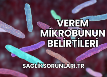 Verem Mikrobunun Belirtileri