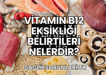 Vitamin B12 Eksikliği Belirtileri Nelerdir?
