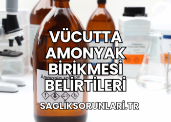 Vücutta Amonyak Birikmesi Belirtileri